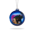 Joshua Tree National Park Glass Globe Ornament by Local Elves featuring Skull Rock and Milky Way night sky from the front